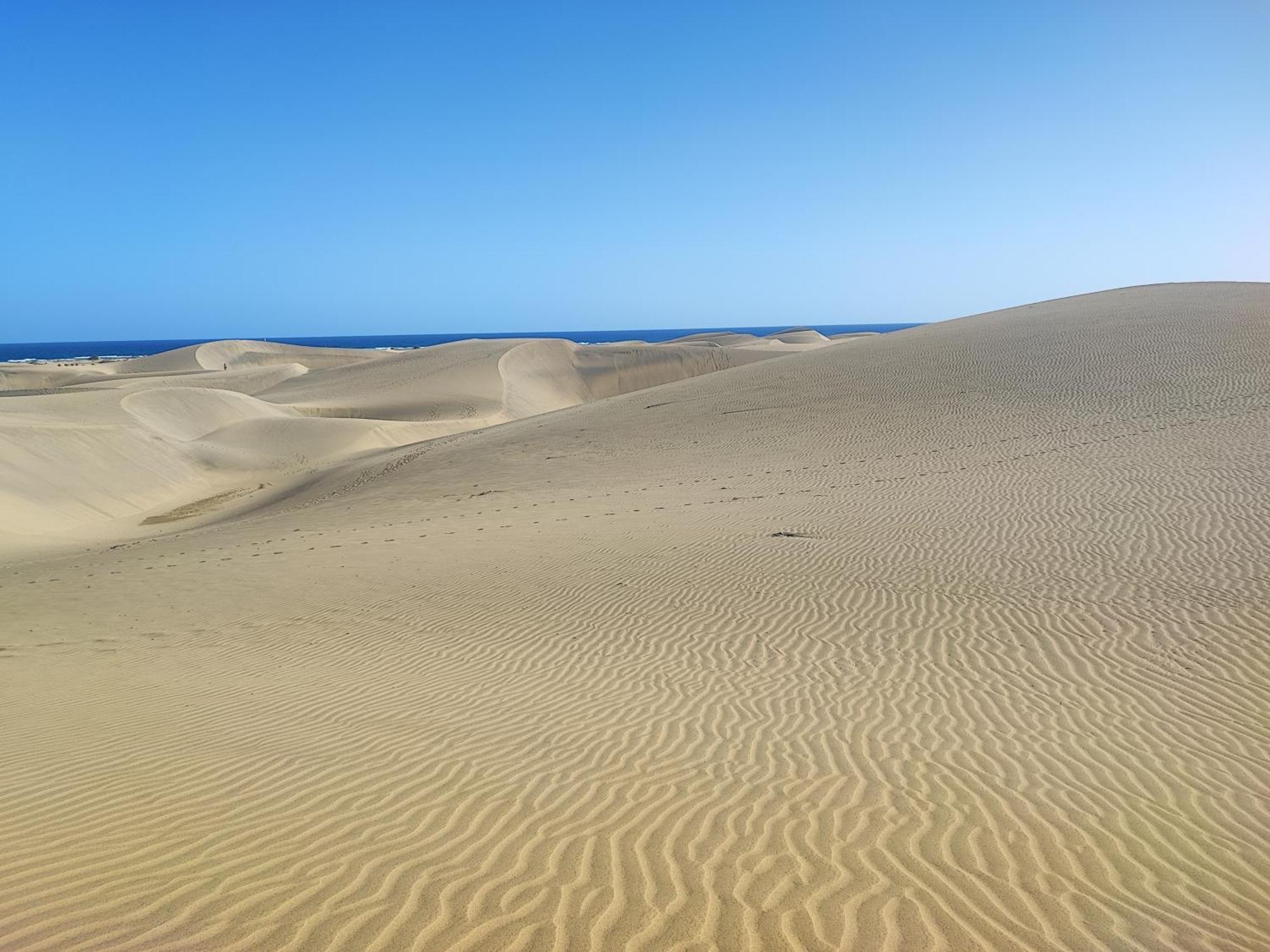 Piso Paraiso Vicino Al Mare Maspalomas  Dış mekan fotoğraf